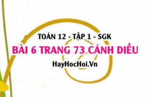 Bài 8 trang 73 Toán 12 tập 1 Cánh Diều